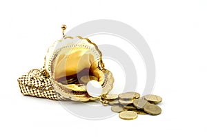 Golden wallet and coins