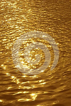 Golden wavelet