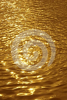 Golden wavelet