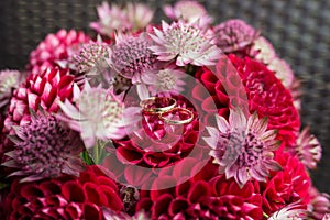 Golden wedding rings lie in a bud of red dahlia. Wedding rings lie on a flower bud