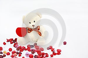 Golden wedding rings and red box at toy bears paws against dried flower background