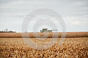 A golden wheat crop, stubble and combine harvester