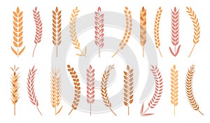 Golden wheat ear, agriculture and nourishment