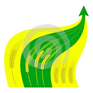 Golden wheat ears against the background of growing green chart.