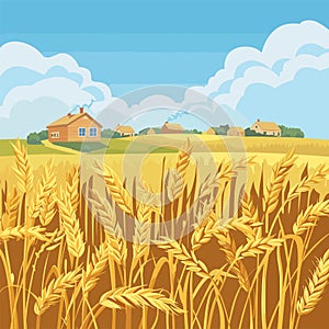 Golden wheat field ripe harvest, rural houses distance under blue sky. Countryside landscape