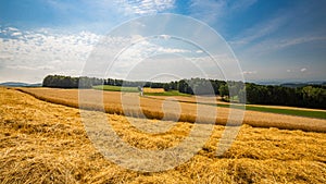 Beautiful cloudy sky over autumn wheat fields, mountain pass with harvest season