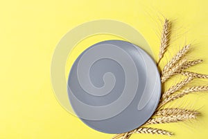 Golden wheat and rye ears, dry yellow cereals spikelets and gray plate on yellow, background, closeup, flat lay, top view, copy