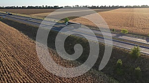 Golden wheat at sunset in Ukraine, aerial photography. Road in the field, cars