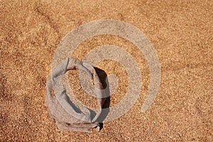 golden whole grains in jute sack on wheat grains backround. Harvesting cereals. Ingredient for making bread. agriculture