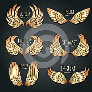 Golden wing logo vector set. Angels and bird elite gold labels for corporate identity design