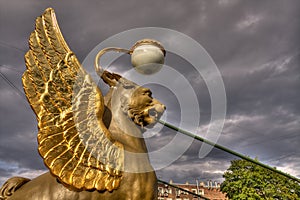 Golden-winged griffin. photo