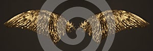 Zlatý krídla 