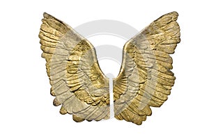 Golden wings