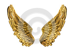 Golden wings