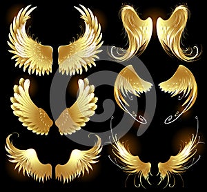 Golden wings of angels