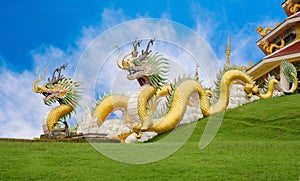 Golden yellow Chinese dragon at Huai Pla Kung Temple, a bublic Chinese temple in Chiang Rai Province, Thailand, against a blue sky