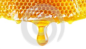 Golden yellow honeycomb with fresh honey dripping from it