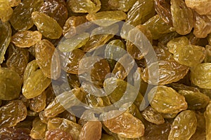 Golden yellow jumbo raisins