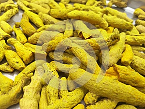 Golden yellow sticks of turmeric exposed to sunlight