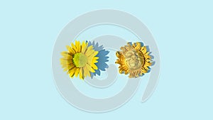 Golden Yellow Sunflower with Happy Smiling Sun Face with Pastel Blue Background