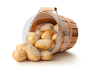 Golden Yukon Potatoes in a Basket