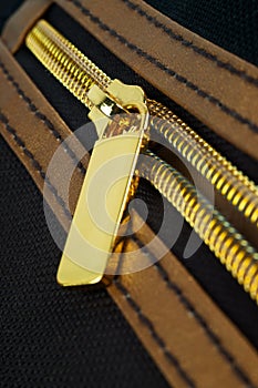 Golden zipper