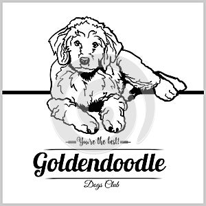 Goldendoodle Dog - vector illustration for t-shirt, logo and template badges