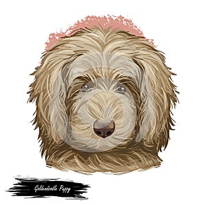 Goldendoodle Puppy digital art illustration isolated on white