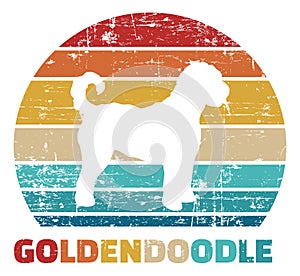 Goldendoodle vintage color