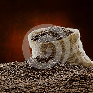 Golder coffee Bean in mood