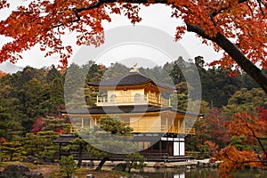 The goldern pavilion, Kinkakuji temple in Kyoto, Japan