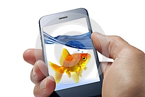Goldfish Cell Phone Fun