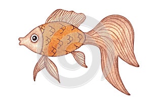 Goldfish. Cute yellow fish. Isolated hand painted watercolor illustration on white background