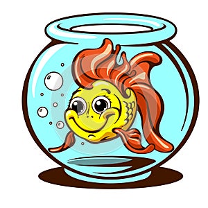 Goldfish domestic pet vector illustration