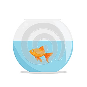 Goldfish in fishbowl isolated on whute background. Fish in round aquarium.