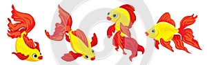 Goldfish icons set, cartoon style