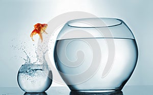 Goldfish jumping in a bigger bowl - aspiration and achievement concept