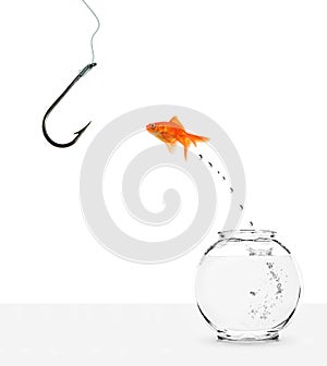 Goldfish jumping out of bowl towards empty hook