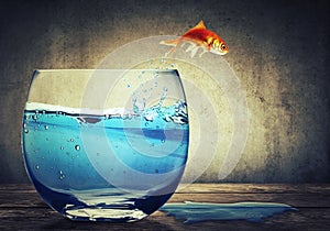 Goldfish jumping out of fishbowl to a dark background with little water on it