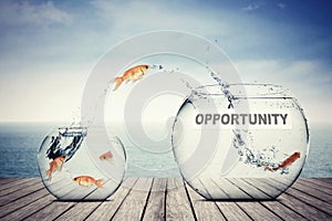 Goldfish jumping out to aquarium with opportunity text photo