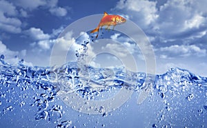 Goldfish jumping out of the water