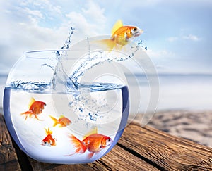 Goldfish jumping out of water and beautiful seascape on background