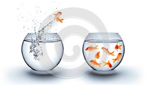 Goldfish jumping out of the water - team concept