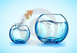 Goldfish jumping from the small fishbowl to bigger