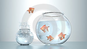 Goldfish Jumping to the highest level. Goldfish jumping in a small bowl to bigger bowl, aspiration and triumph concept. This is a