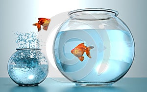 Goldfish Jumping to the highest level. Goldfish jumping in a small bowl to bigger bowl, aspiration and triumph concept. This is a