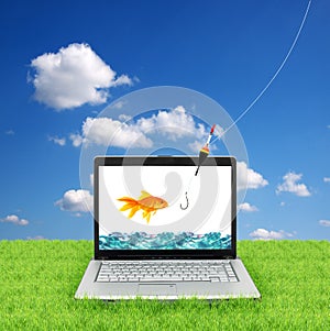 Goldfish in a laptop