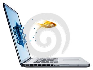 Goldfish leaping from laptop photo