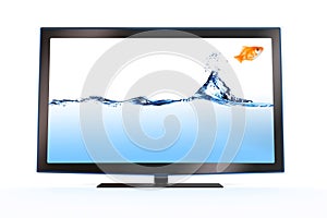 Goldfish leaping out of a stylish lcd tv