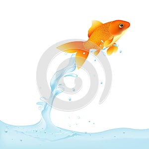 Goldfish Leaping Out Of Water. Vector